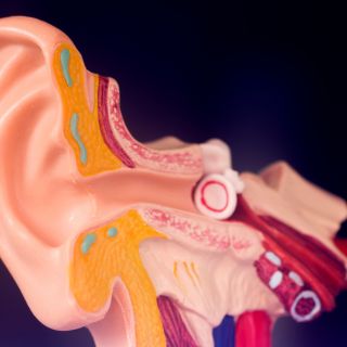 Favorisce la pulizia del canale uditivo